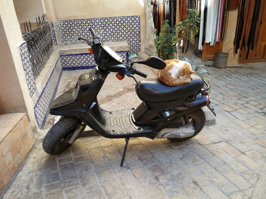 15_fes_cat_motorcycle