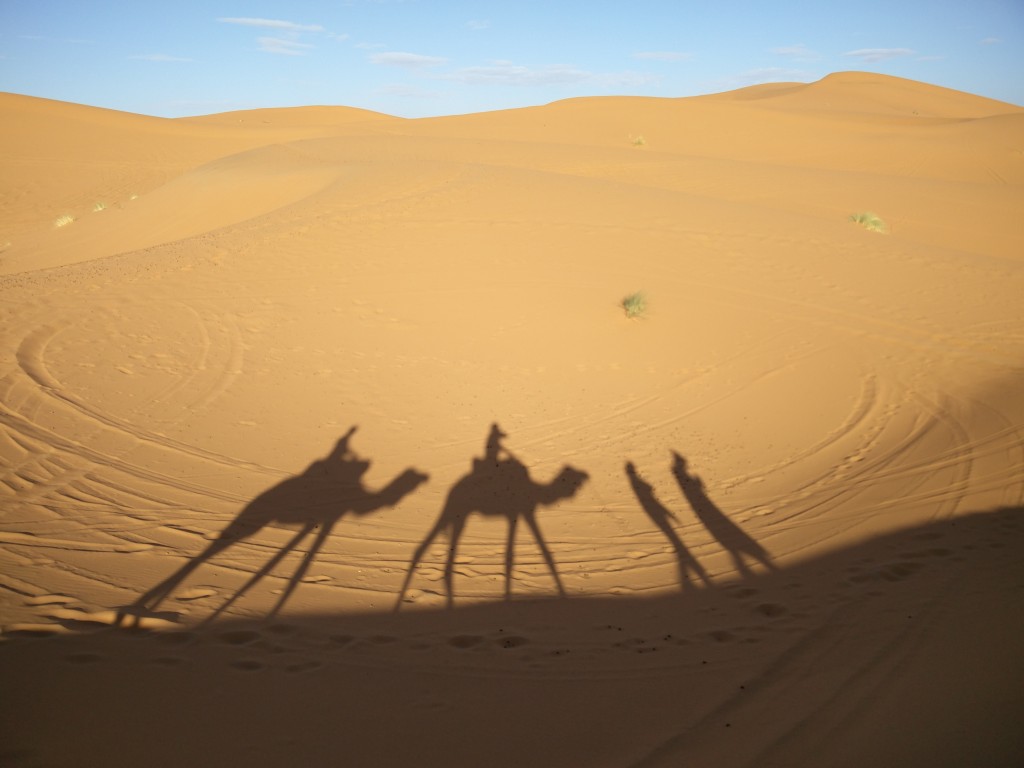 30_camels