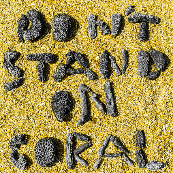 Dont_Stand_On_Coral_MrMrsBackpacker