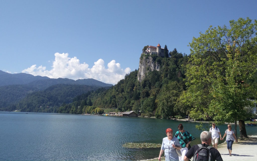 35_bled