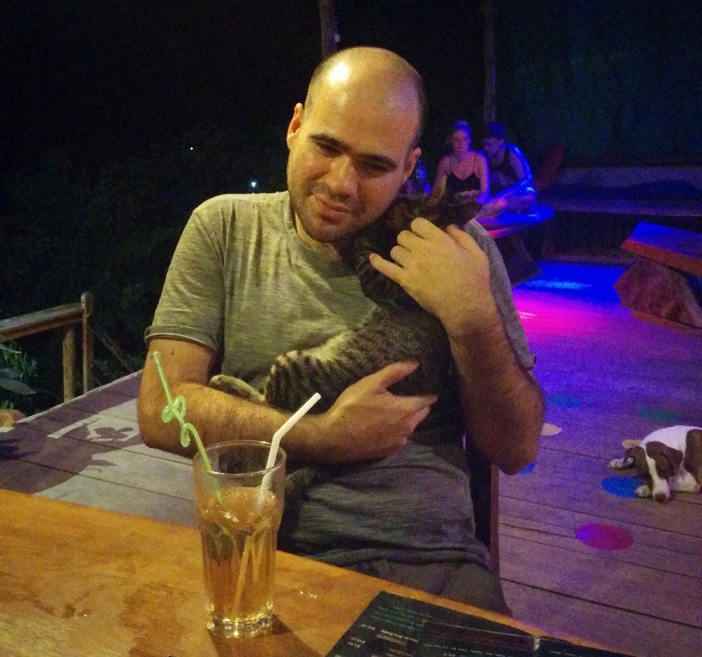 30_bar_dogs_cats